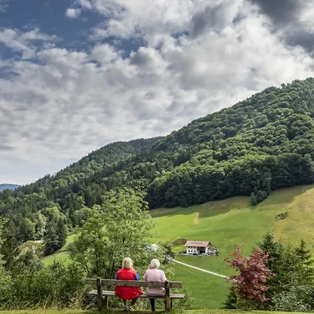 Alpenglück Apartment Marktschellenberg
